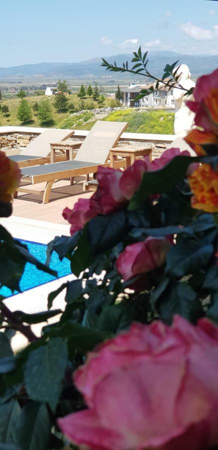 Vinifera Ephesus Hotel سلجوك المظهر الخارجي الصورة